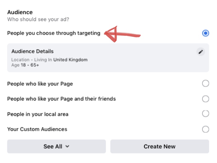 Choosing the "People you choose through targeting" option to ensure traffics from well-defined audiences